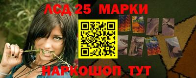 прущие грибы Кимры