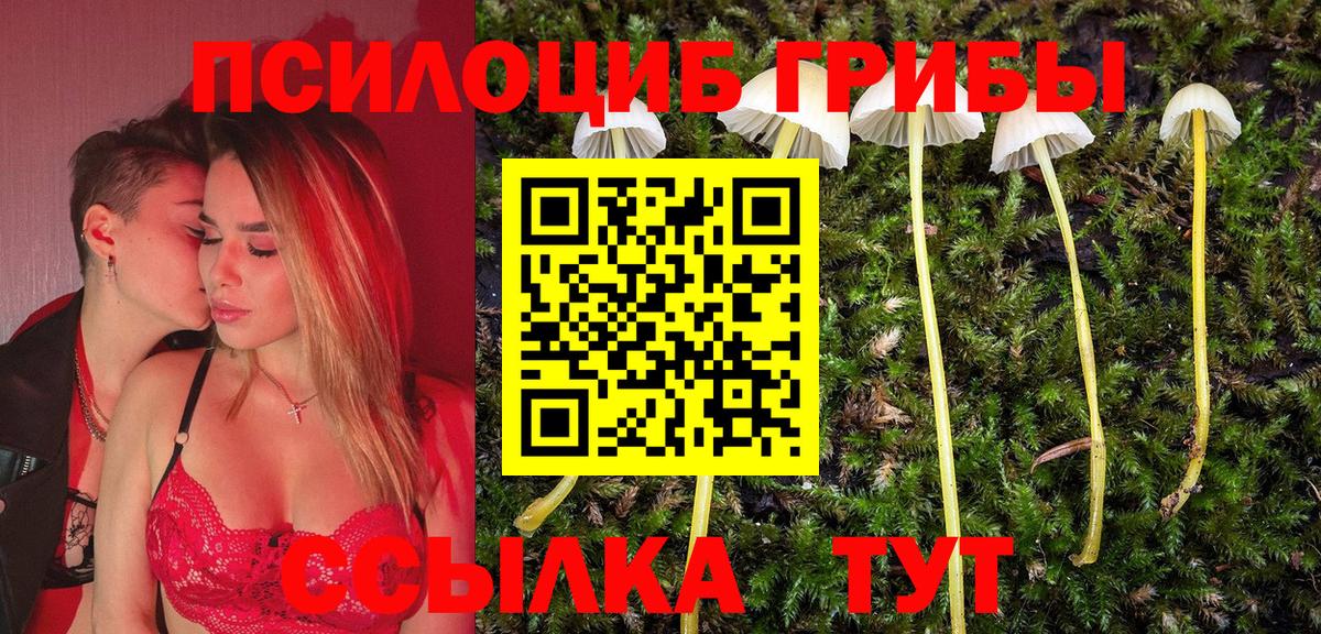 Галлюциногенные грибы Psilocybine cubensis Клинцы